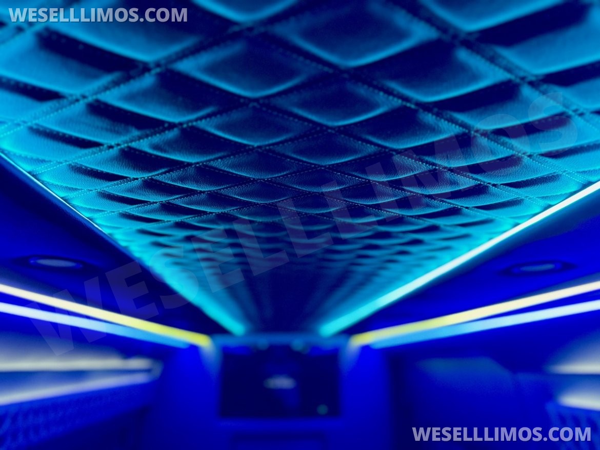 Executive Shuttle for Sale in Erie, PA - Photo 12