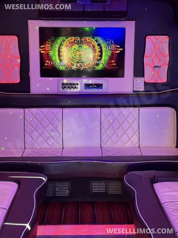 2012 Ford E450 Limo Bus for Sale in Denver, CO - Photo 3