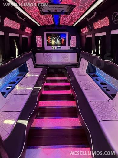 2012 Ford E450 Limo Bus for Sale in Denver, CO