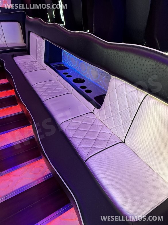 2012 Ford E450 Limo Bus for Sale in Denver, CO - Photo 2