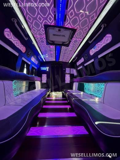 2012 First Class Coachworks Ford E450 Limo Bus - Limo Bus for Sale in Denver, CO - Photo 12