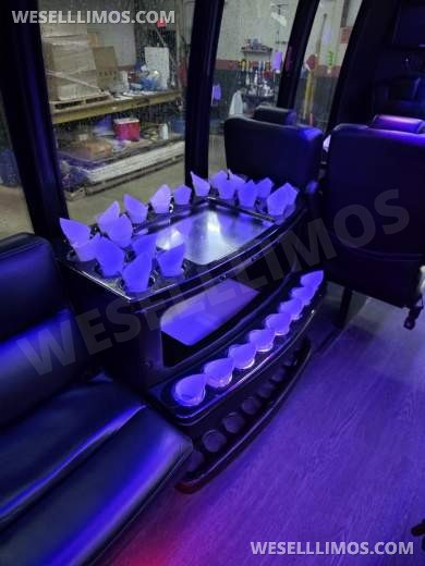 2018 Ford F550 Limo Bus by Turtle Top 26 Passenger only 51k miles - Limo Bus for Sale in Erie, PA - Photo 19