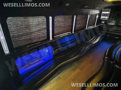 2015 LGE Ford F550 Limo Bus - Limo Bus for Sale in Seminole, FL - Photo 5