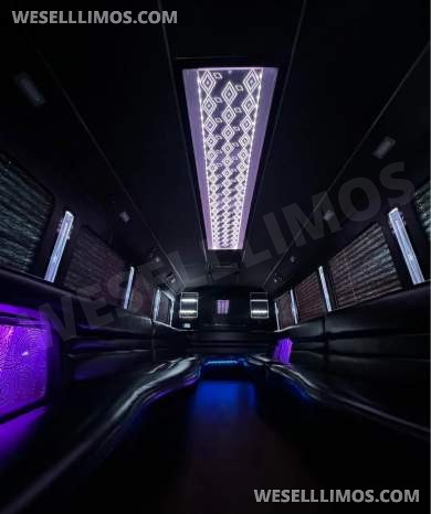2015 LGE Ford F550 Limo Bus - Limo Bus for Sale in Seminole, FL - Photo 7