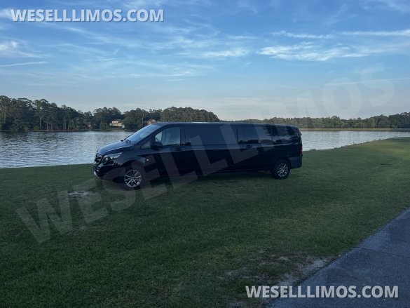 2019 Mercedes-Benz Metris Limousine for Sale in Goldsboro, NC - Photo 2