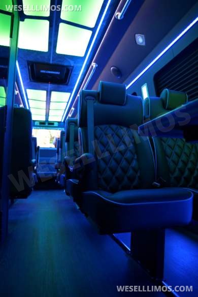 2027 LGE Coachworks Ford E450 Shuttle, Limo, Party Bus, Shuttle Bus - Shuttle Bus for Sale in North East, PA - Photo 8