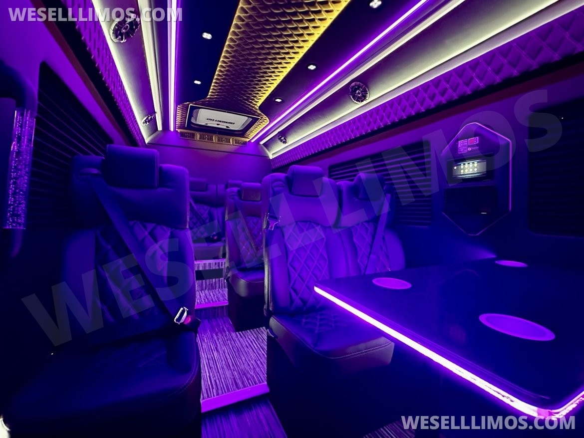 Executive Shuttle for Sale in Erie, PA - Photo 26