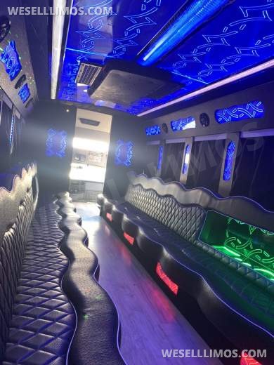 2015 Ford F550 Party Bus Limo - Limo Bus for Sale in LOS ANGELES, CA - Photo 10