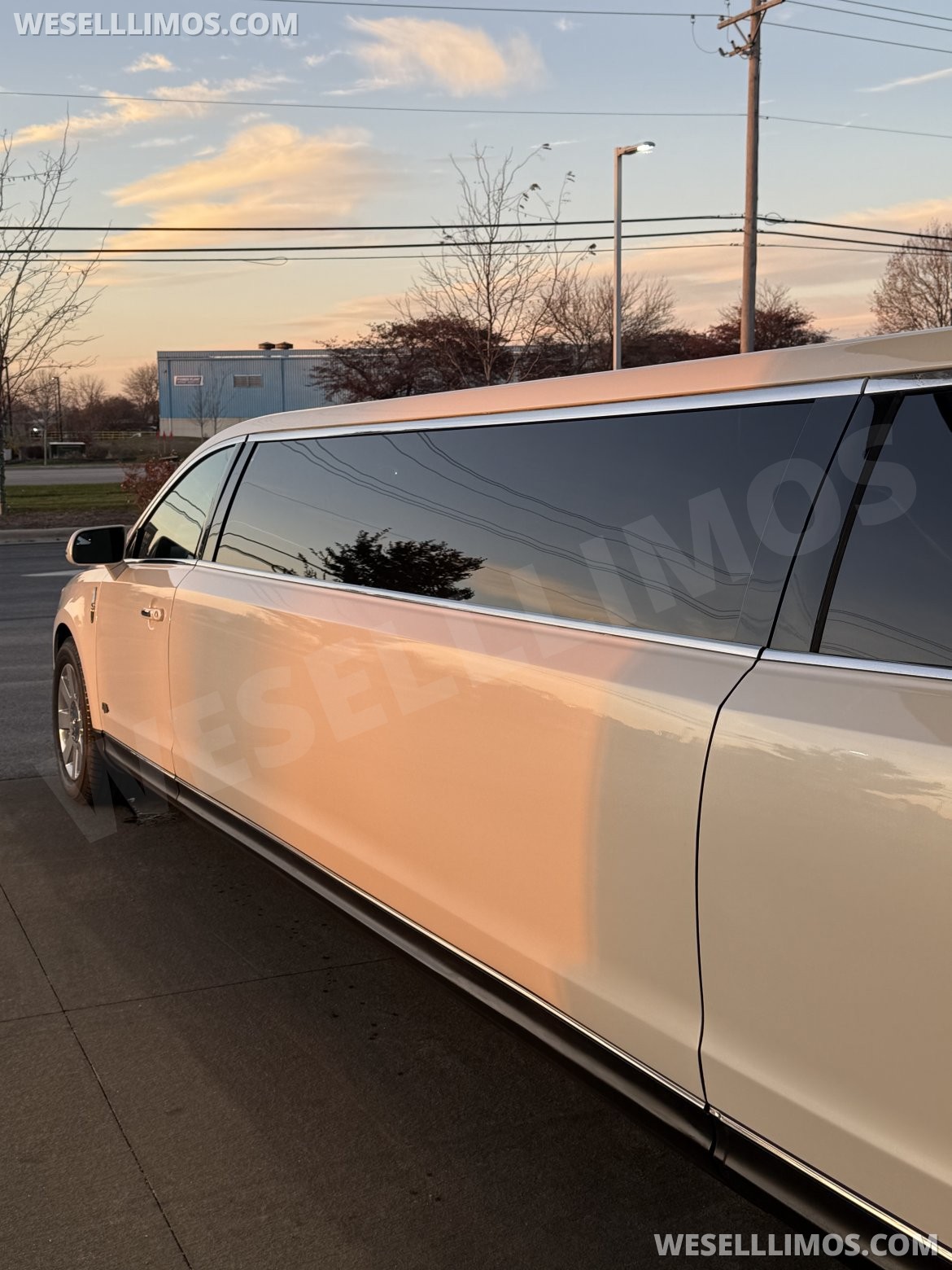 Limousine for Sale in Naperville, IL - Photo 2