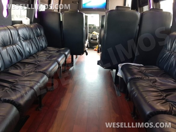 2014 Ford E-450 Limo Bus for Sale in Denver, CO - Photo 3