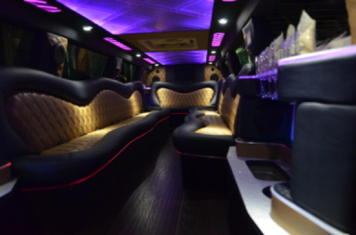SUV Stretch for Sale in North East, PA - Photo 8