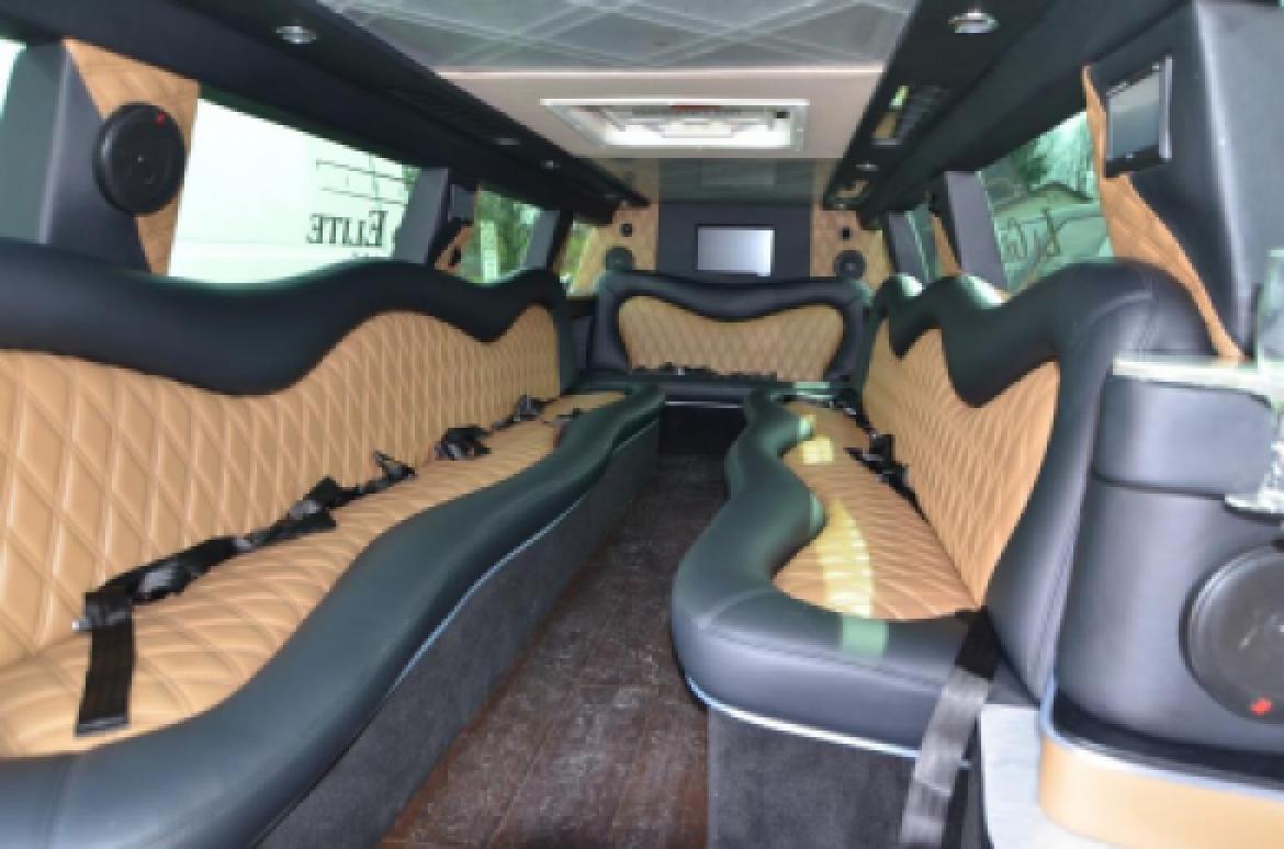 SUV Stretch for Sale in North East, PA - Photo 27