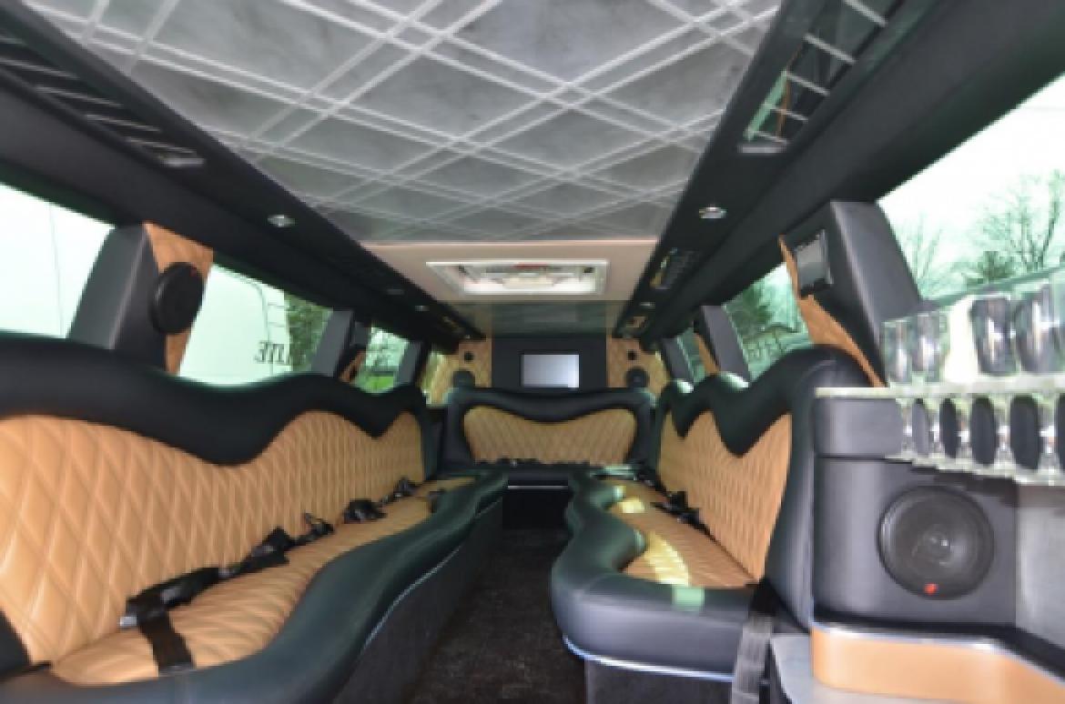 SUV Stretch for Sale in North East, PA - Photo 29