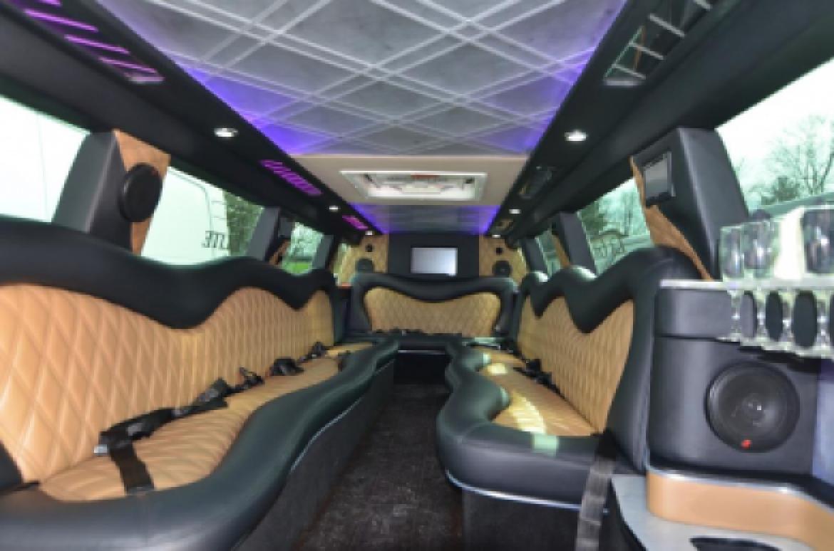 SUV Stretch for Sale in North East, PA - Photo 31