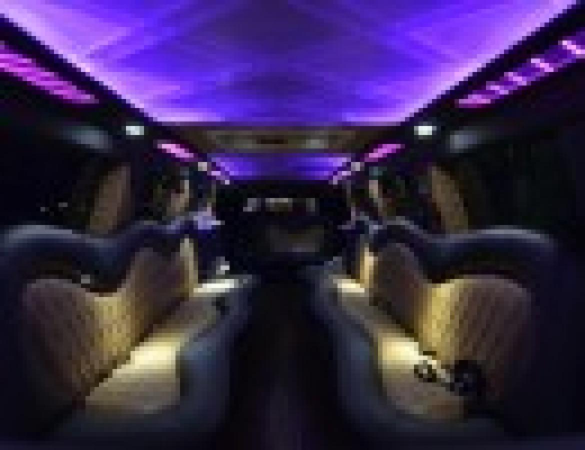 SUV Stretch for Sale in North East, PA - Photo 36