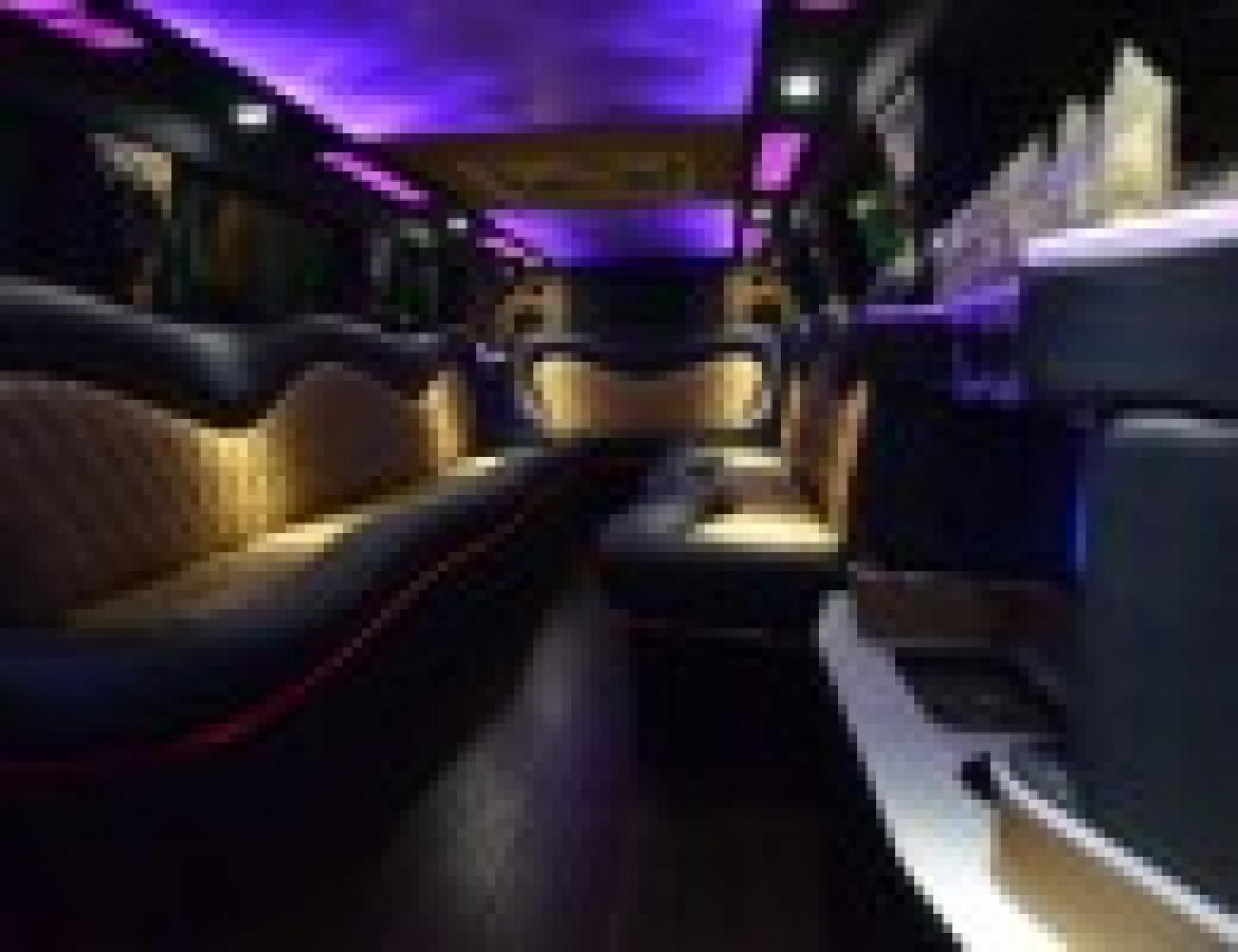 SUV Stretch for Sale in North East, PA - Photo 41