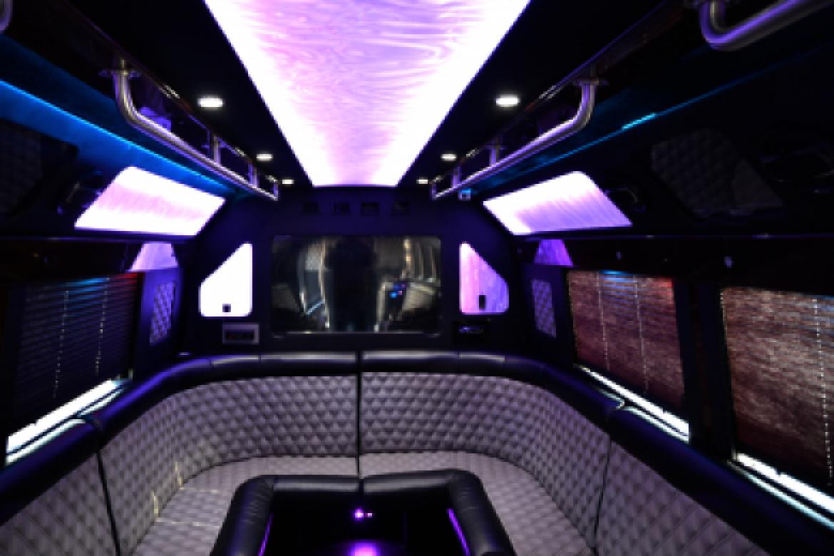 Limo Bus for Sale in Oaklyn, NJ - Photo 16
