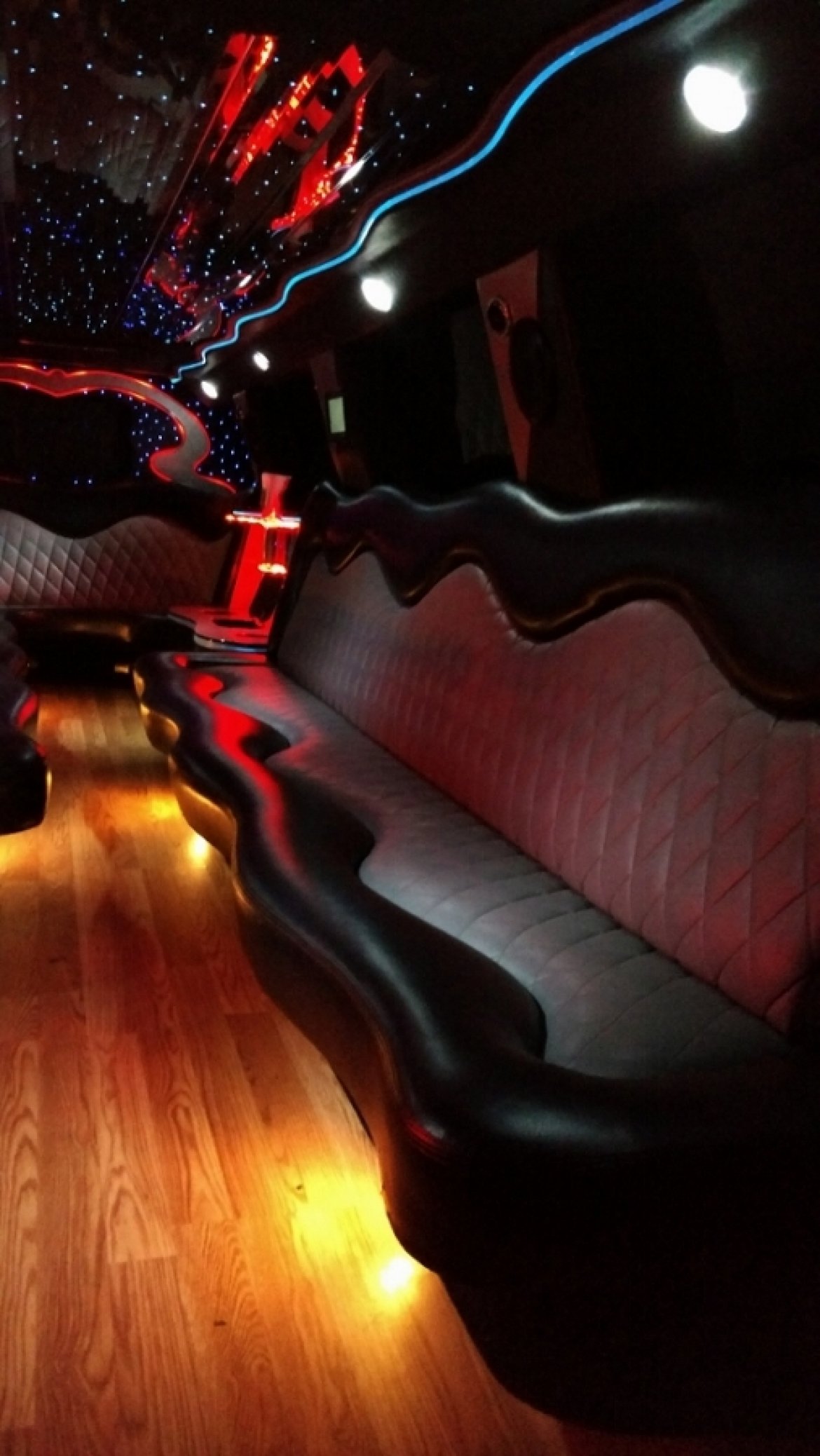 SUV Stretch for Sale in North East, PA - Photo 30