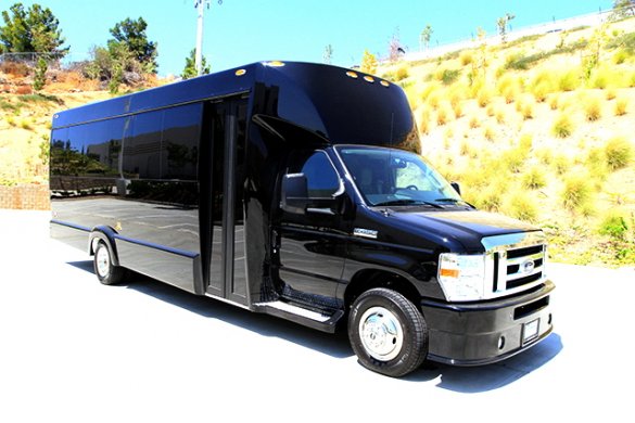 2017 Ford E-450 Limo Bus for Sale in Oaklyn, NJ - Main Photo