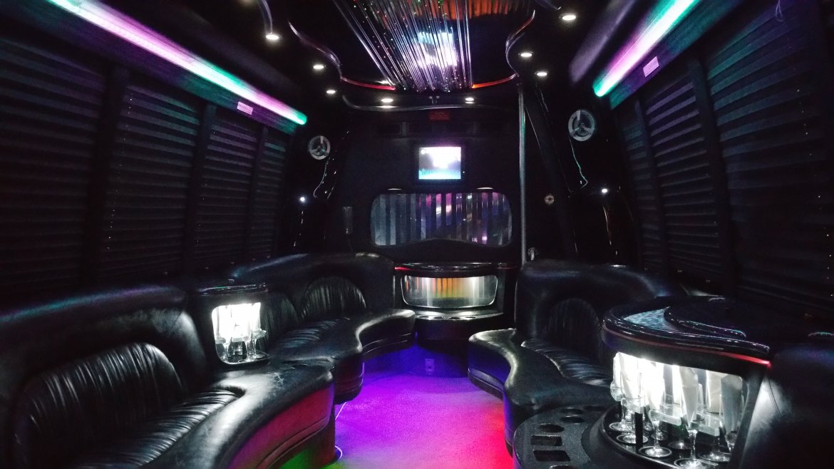 Limo Bus for Sale in Houston, TX - Photo 9
