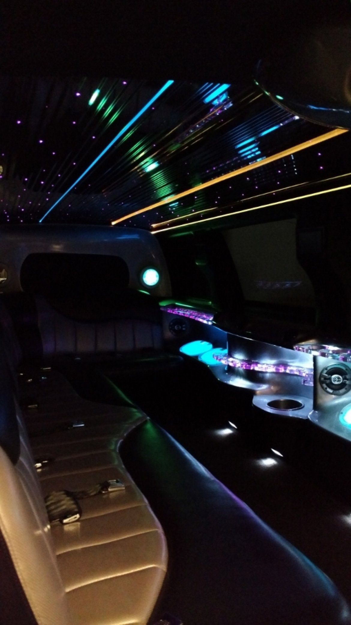 SUV Stretch for Sale in North East, PA - Photo 15