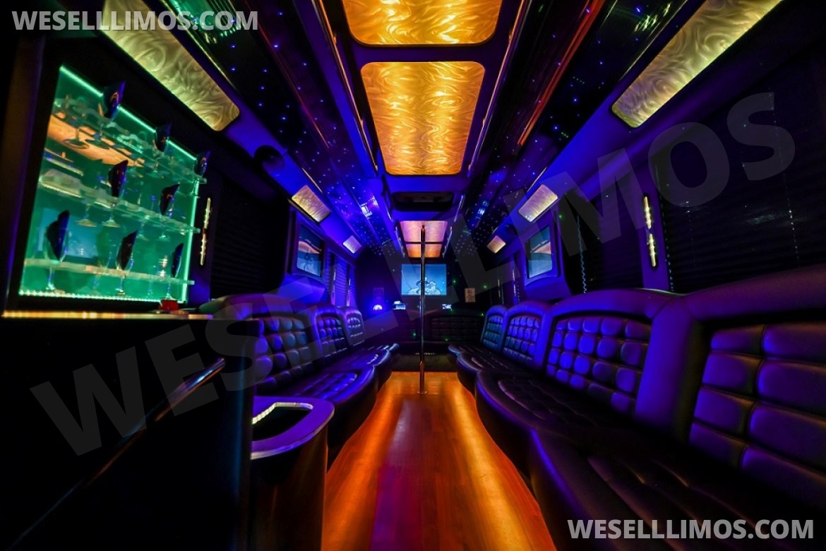 Limo Bus for Sale in Fort Myers, FL - Photo 10