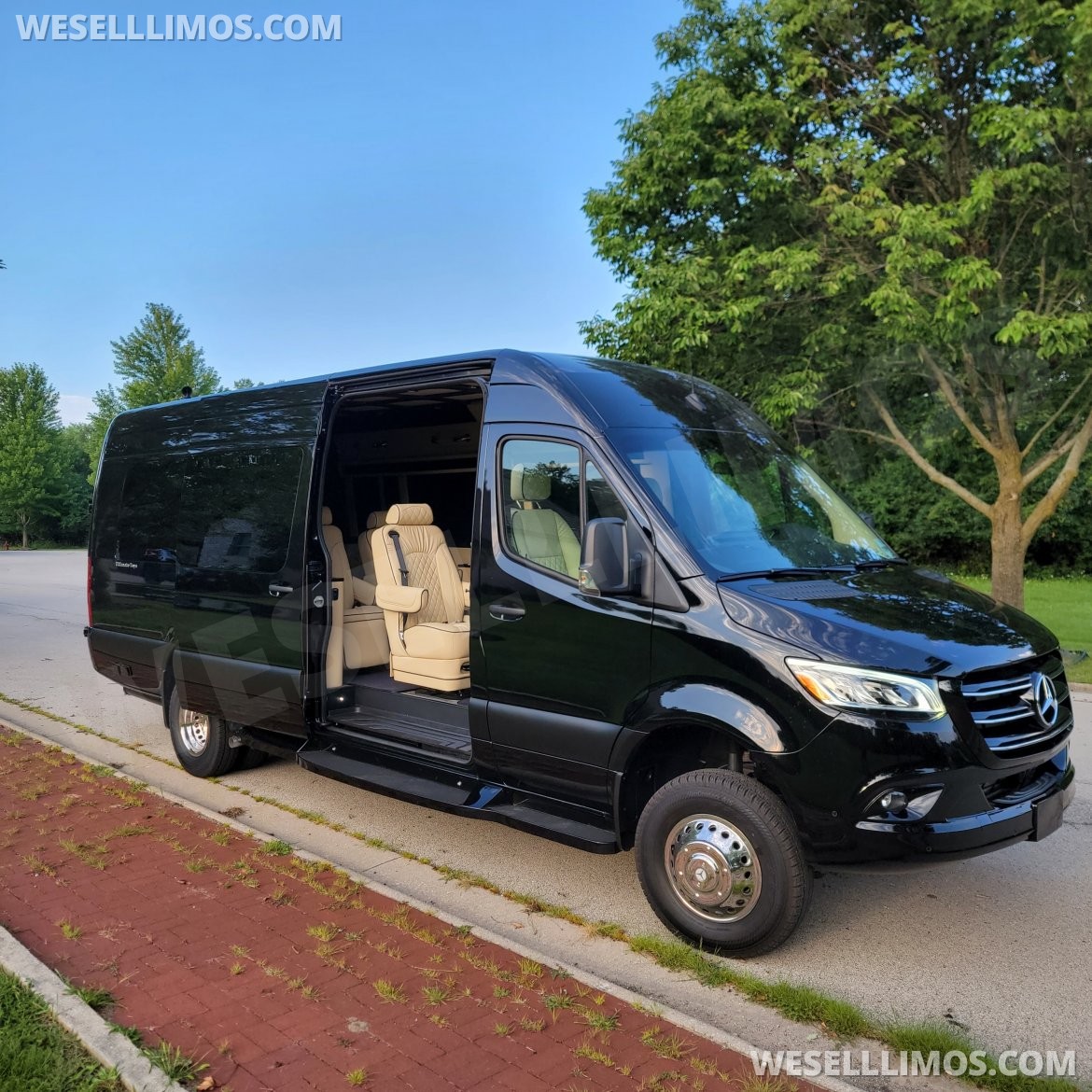 Executive Shuttle for Sale in Joliet, IL - Photo 3