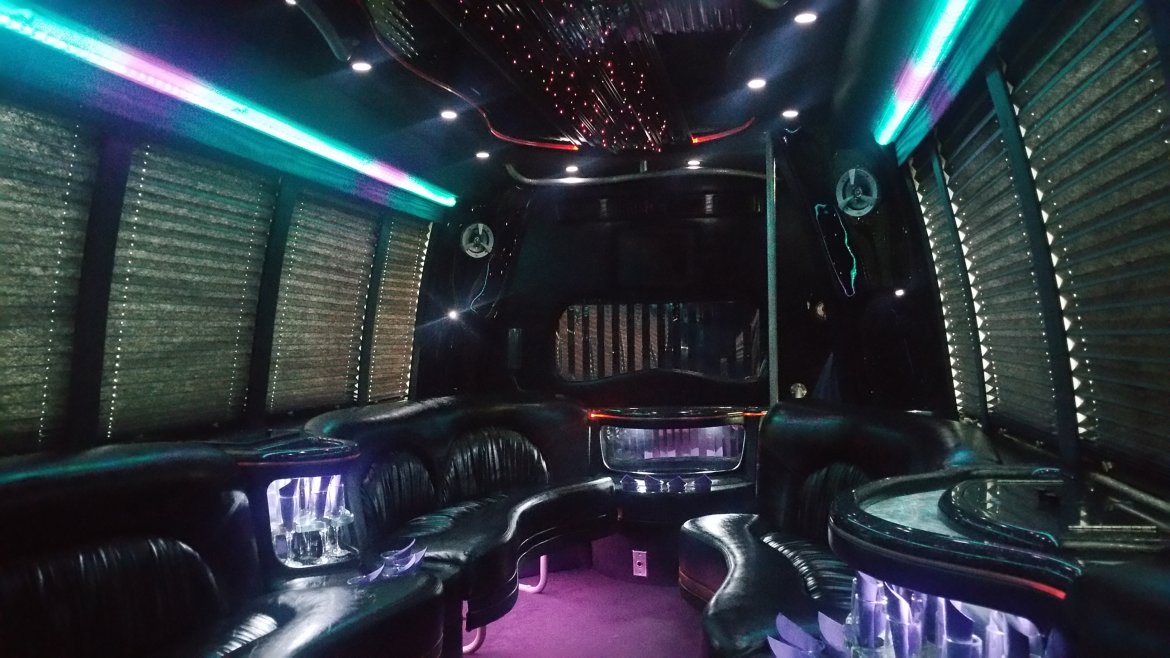 Limo Bus for Sale in Houston, TX - Photo 18