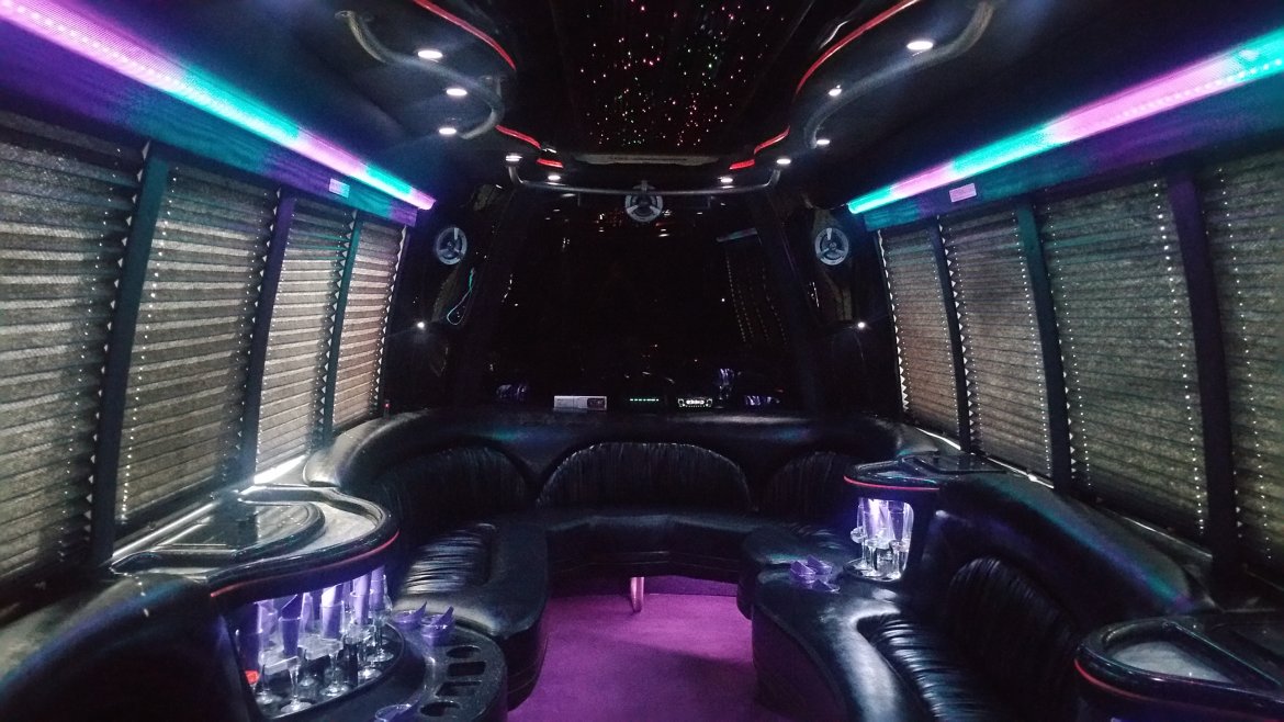 Limo Bus for Sale in Houston, TX - Photo 19