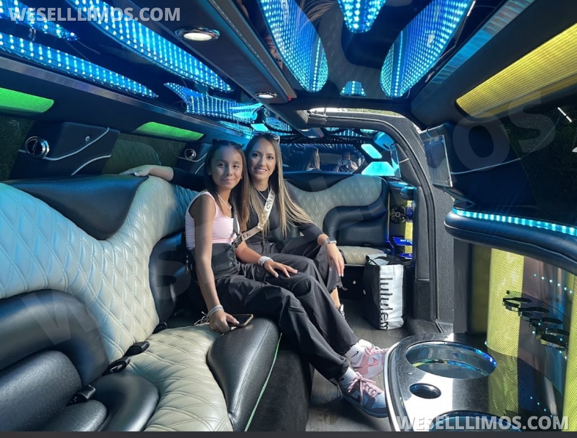 Limousine for Sale in Hazlet, NJ - Photo 8