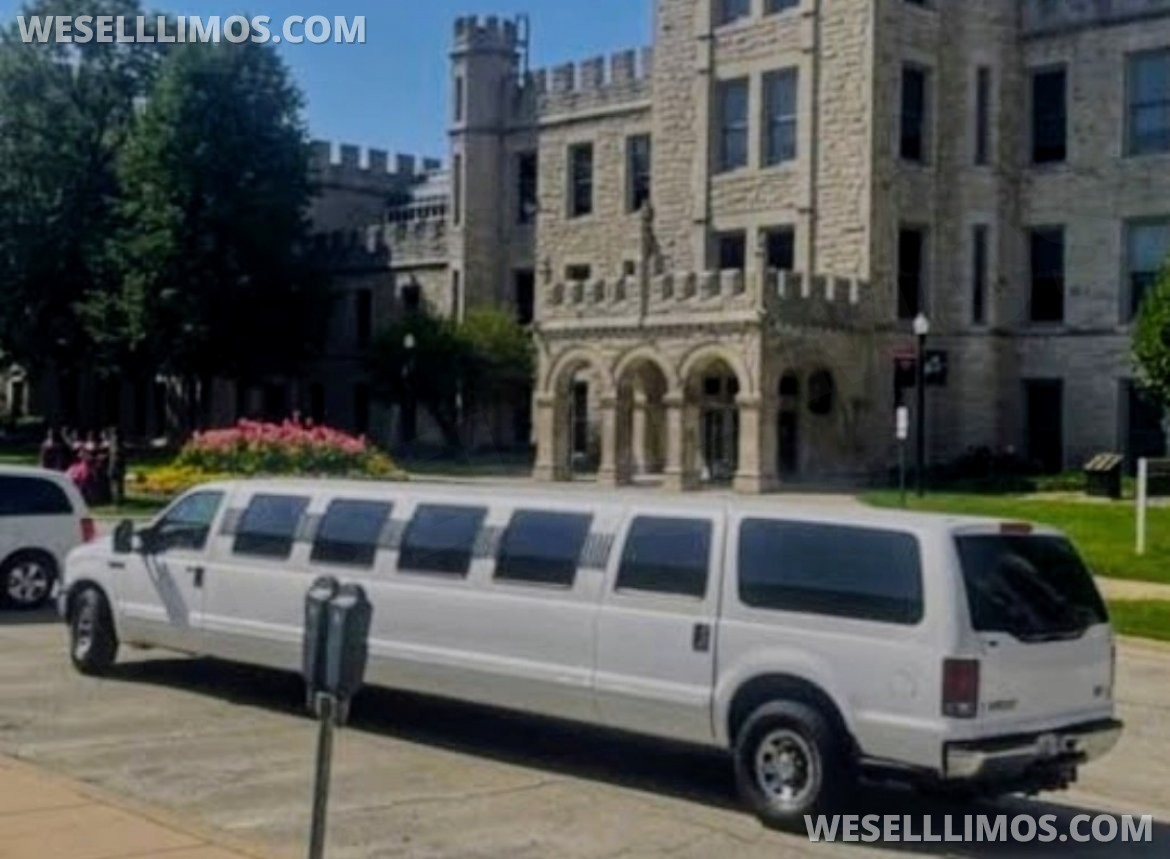 Limousine for Sale in CHICAGO, IL - Photo 3