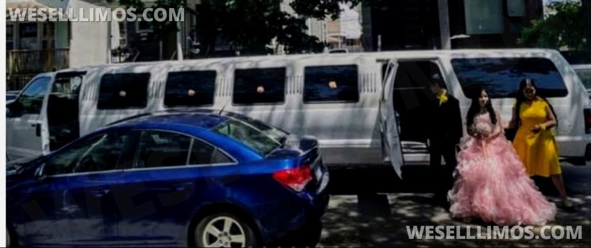 Limousine for Sale in CHICAGO, IL - Photo 14