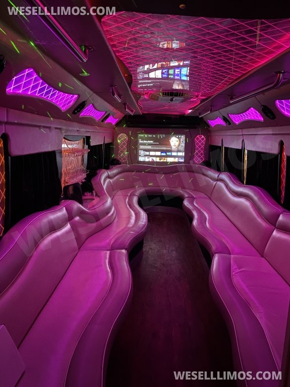2003 Ford E-550 Limo Bus for Sale in Lafayette, LA - Photo 3