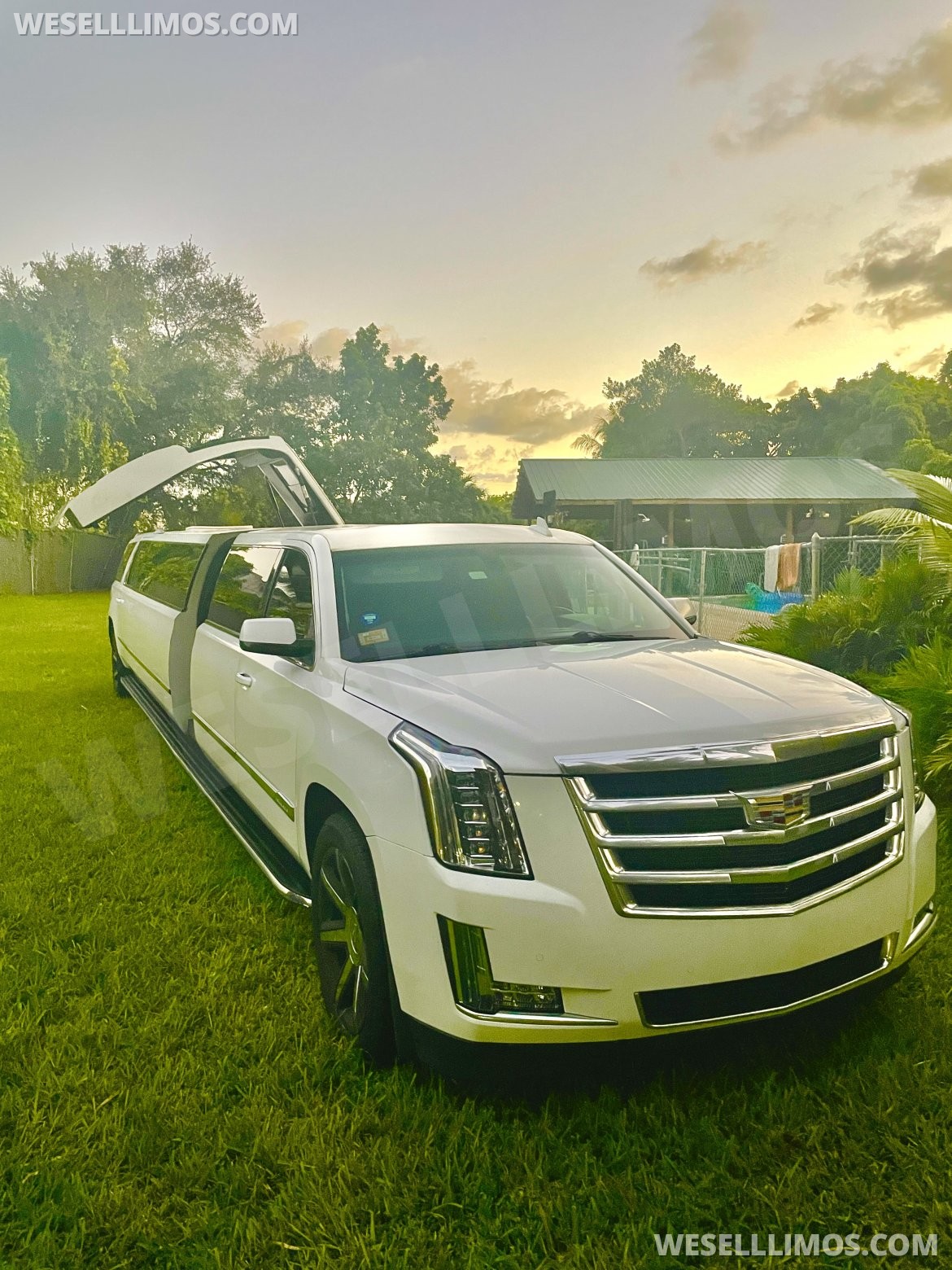 Limousine for Sale in Miami, FL - Main Photo