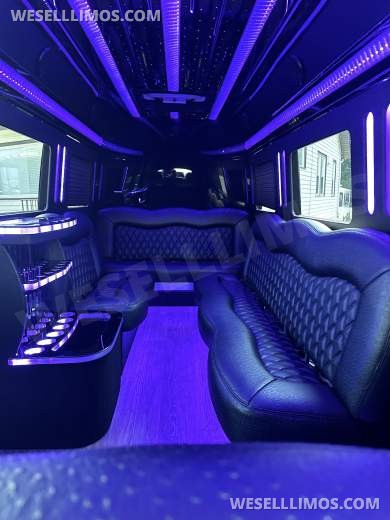 2021 Platinum Big Toys Mercedes-Benz Sprinter Limousine - Sprinter for Sale in Hawthorne, NJ - Photo 15