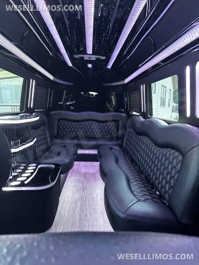 2021 Platinum Big Toys Mercedes-Benz Sprinter Limousine - Sprinter for Sale in Hawthorne, NJ - Photo 17