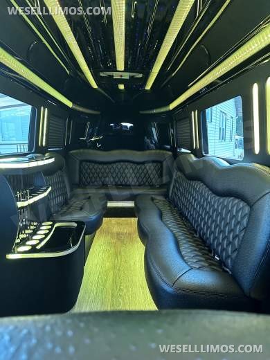 2021 Platinum Big Toys Mercedes-Benz Sprinter Limousine - Sprinter for Sale in Hawthorne, NJ - Photo 19