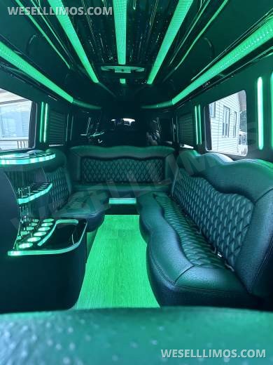 2021 Platinum Big Toys Mercedes-Benz Sprinter Limousine - Sprinter for Sale in Hawthorne, NJ - Photo 20