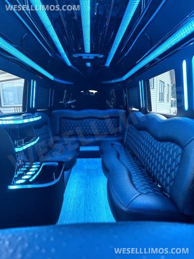2021 Platinum Big Toys Mercedes-Benz Sprinter Limousine - Sprinter for Sale in Hawthorne, NJ - Photo 22