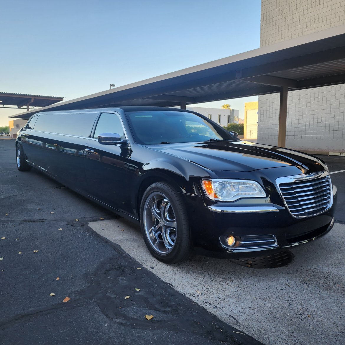 Limousine for Sale in All, AL - Photo 10