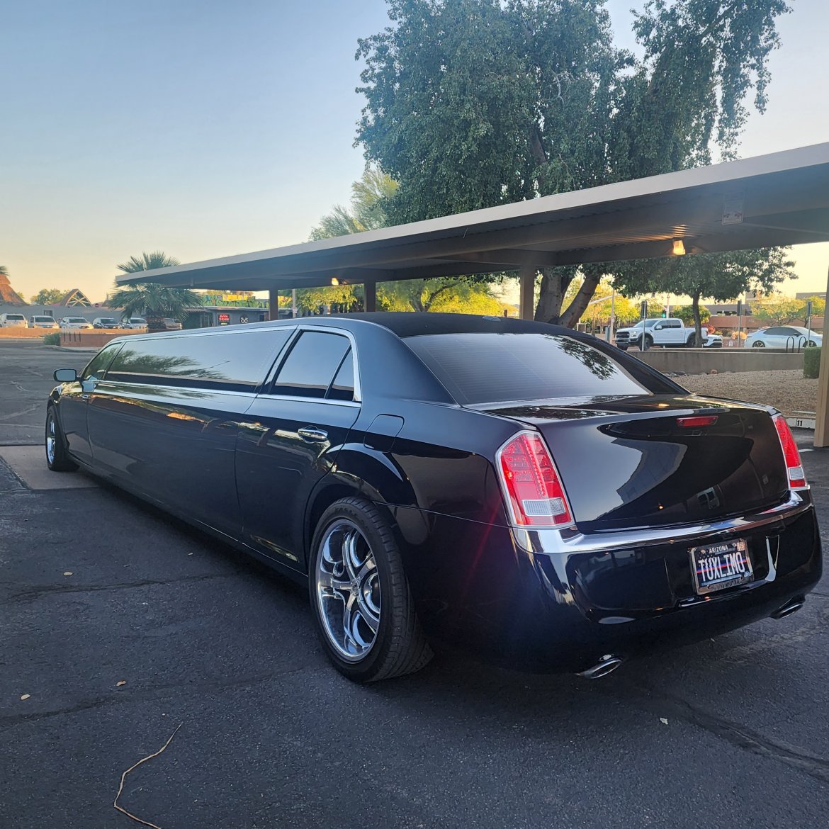 Limousine for Sale in All, AL - Photo 9