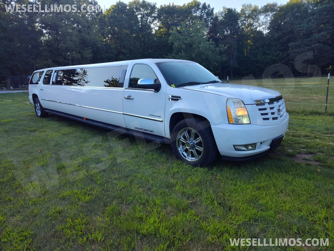 Limousine for Sale in South Haven, MI - Main Photo