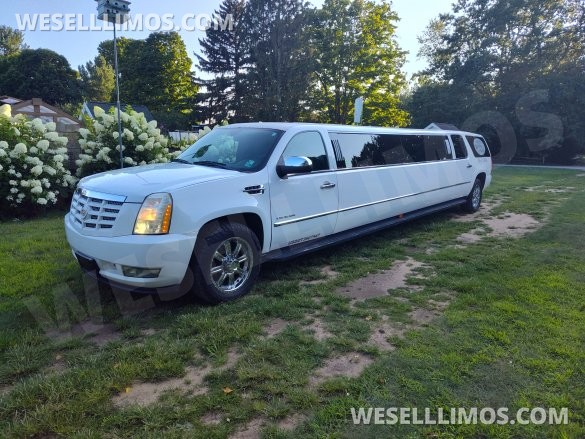 2008 Cadillac Escalade Limousine for Sale in South Haven, MI - Photo 2