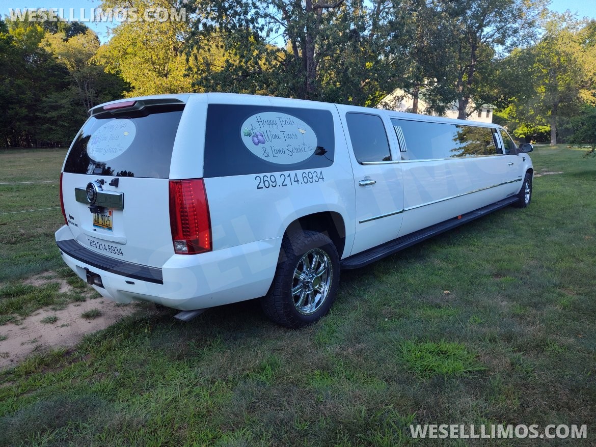 Limousine for Sale in South Haven, MI - Photo 4