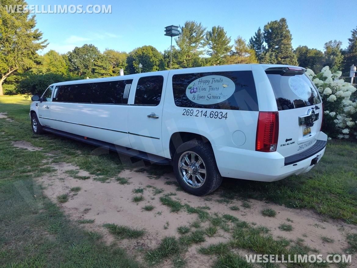 Limousine for Sale in South Haven, MI - Photo 3