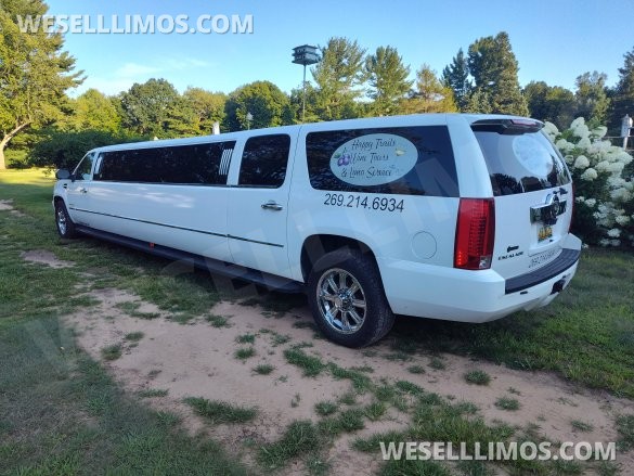 2008 Cadillac Escalade Limousine for Sale in South Haven, MI - Photo 3