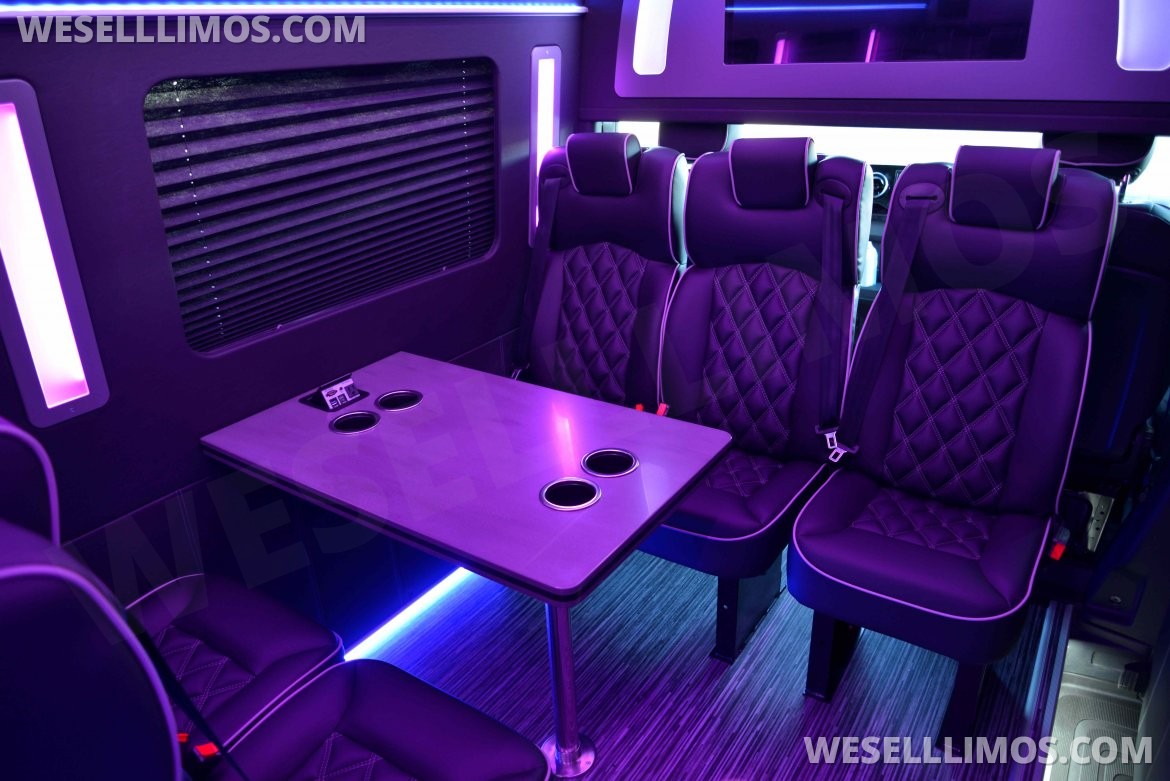 Limo Bus for Sale in North East, PA - Photo 25