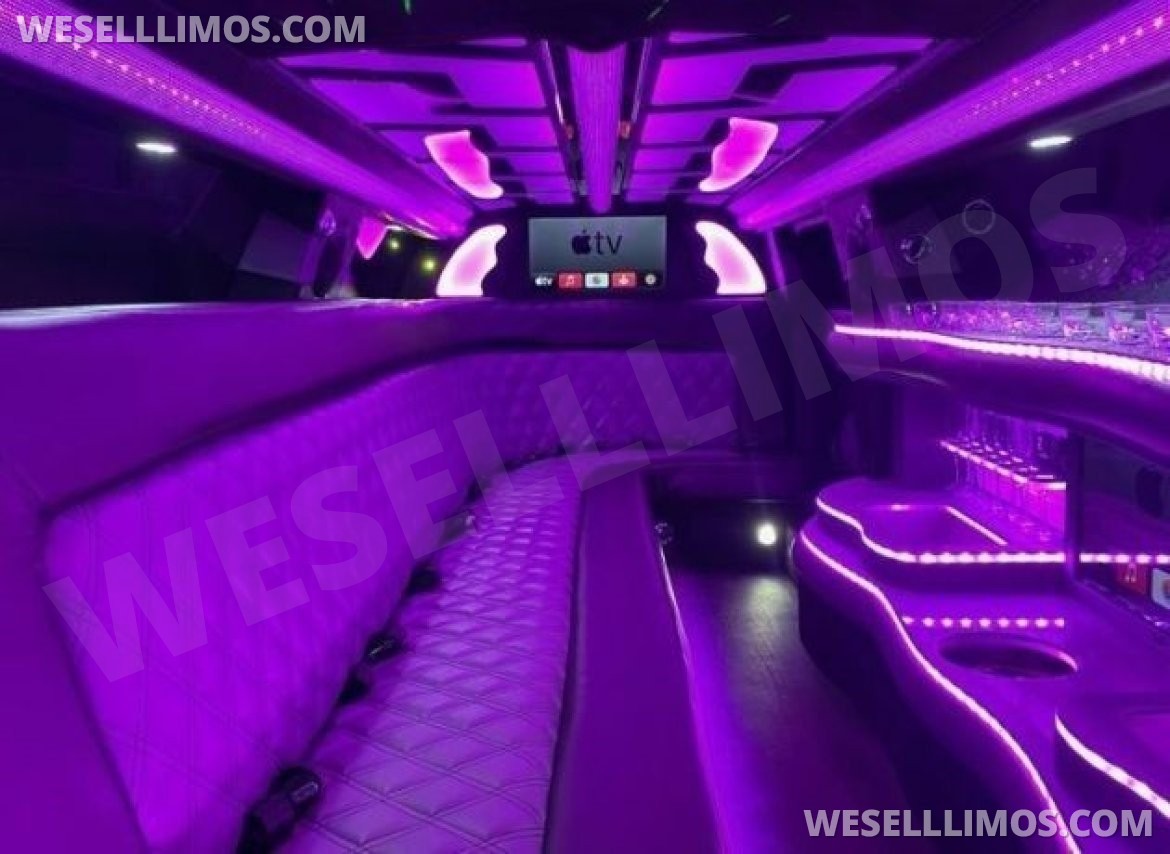 Limousine for Sale in New Orleans, LA - Photo 8