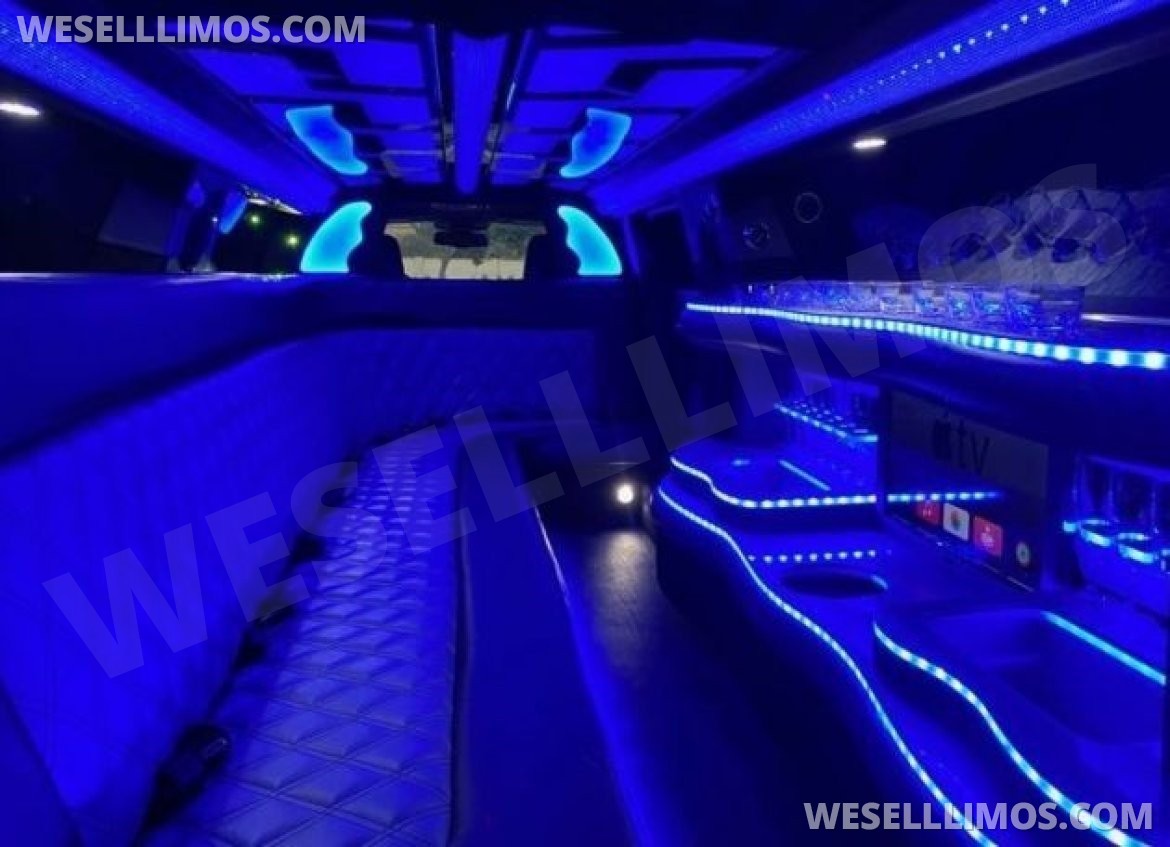 Limousine for Sale in New Orleans, LA - Photo 9