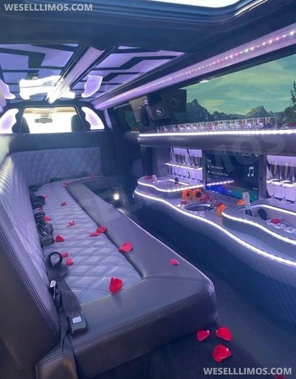 Limousine for Sale in New Orleans, LA - Photo 10